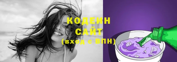 2c-b Вяземский