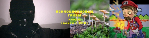 ALPHA-PVP Вязники