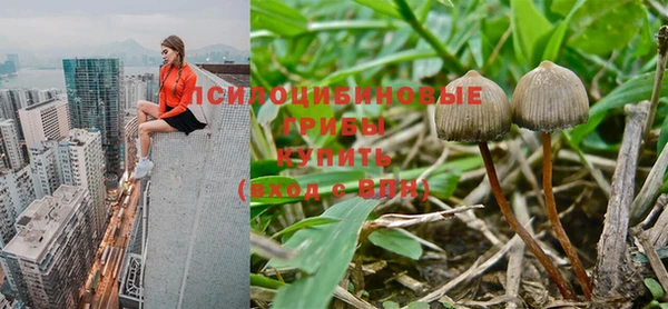 2c-b Вяземский