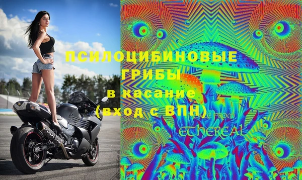 мяу мяу мука Вязьма