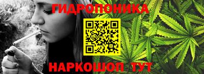 ПСИЛОЦИБИНОВЫЕ ГРИБЫ Берёзовский