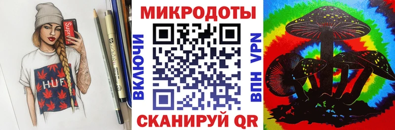 Псилоцибиновые грибы Psilocybine cubensis  Вольск 