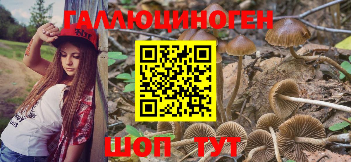 Псилоцибиновые грибы прущие грибы  как найти закладки  Вольск  Вход с VPN  Галлюциногенные грибы MAGIC MUSHROOMS 