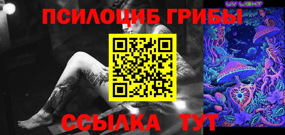 Псилоцибиновые грибы Cubensis Вольск