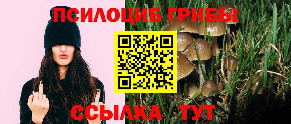 Галлюциногенные грибы Cubensis  Вольск  Псилоцибиновые грибы мухоморы 
